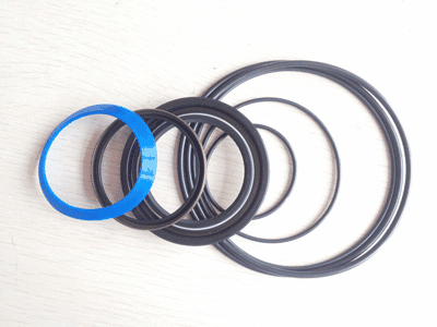 �����ܷ��չʾ